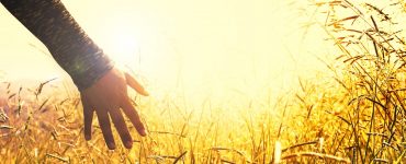 allergie aux graminées